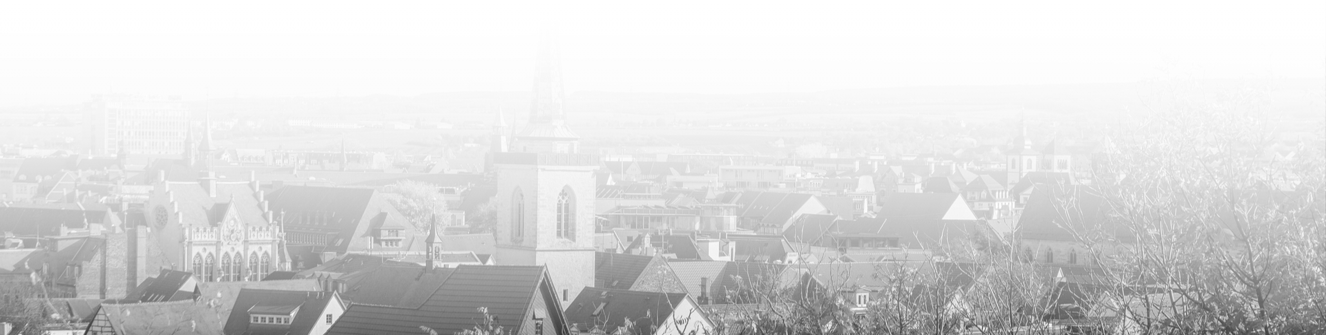 SEO Agentur Erfurt Hintergrund Skyline